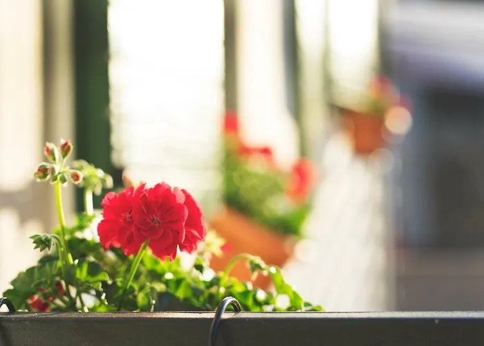 Appartement Zlatin Dvor - For 3, Terrace, Center, At 5-min, Bike Friendly